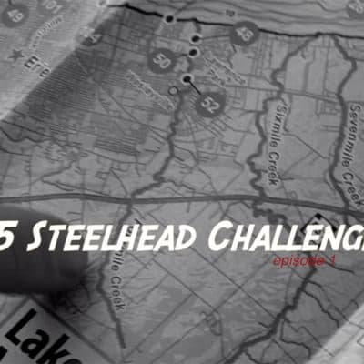 Steelhead Challenge #19