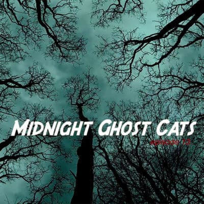 Midnight Ghost Cats #1