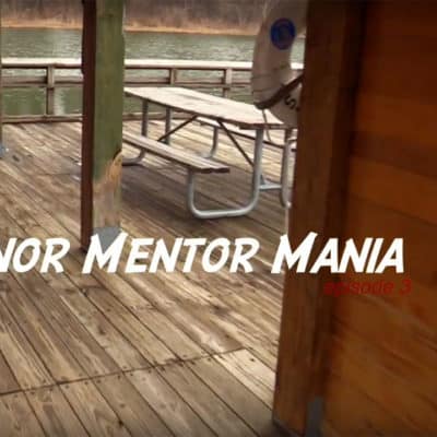 Minor Mentor Mania #2
