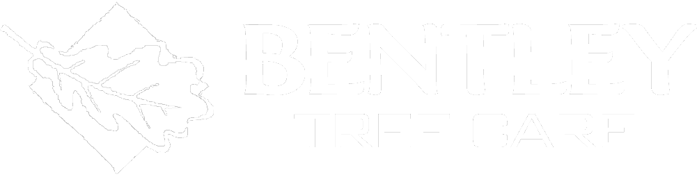 Bentley Tree Care