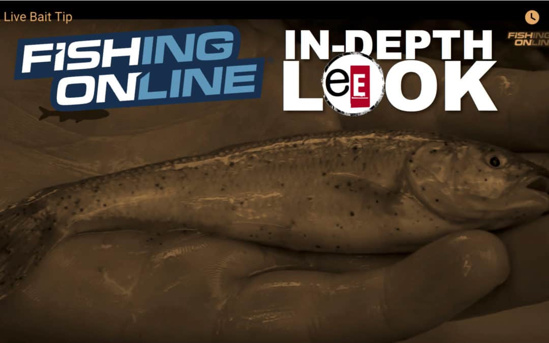 In-Depth Look | Live Bait Tips