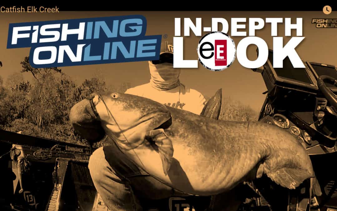 In-Depth Look | Catfish Elk Creek