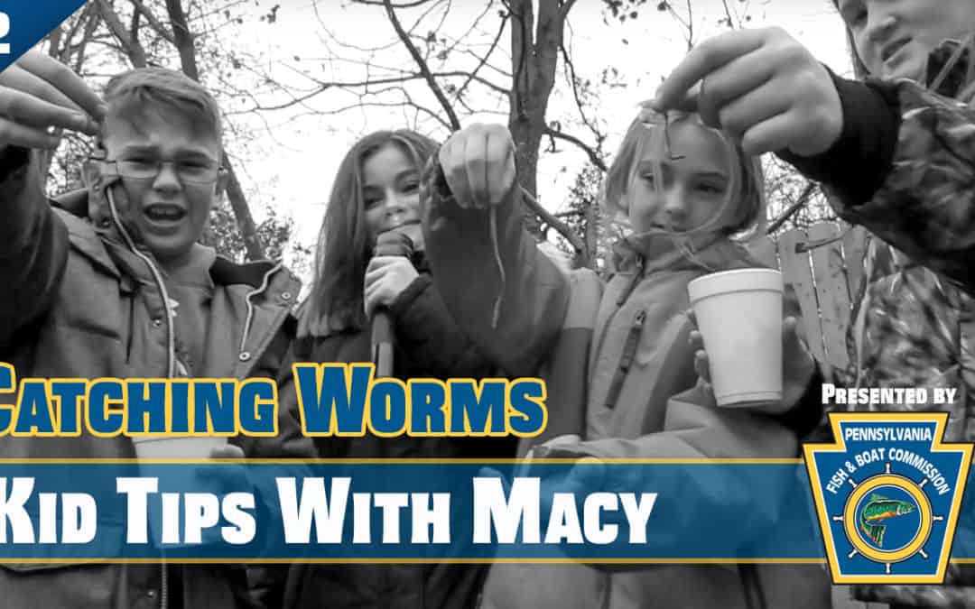 Kid Tips | Catching Worms