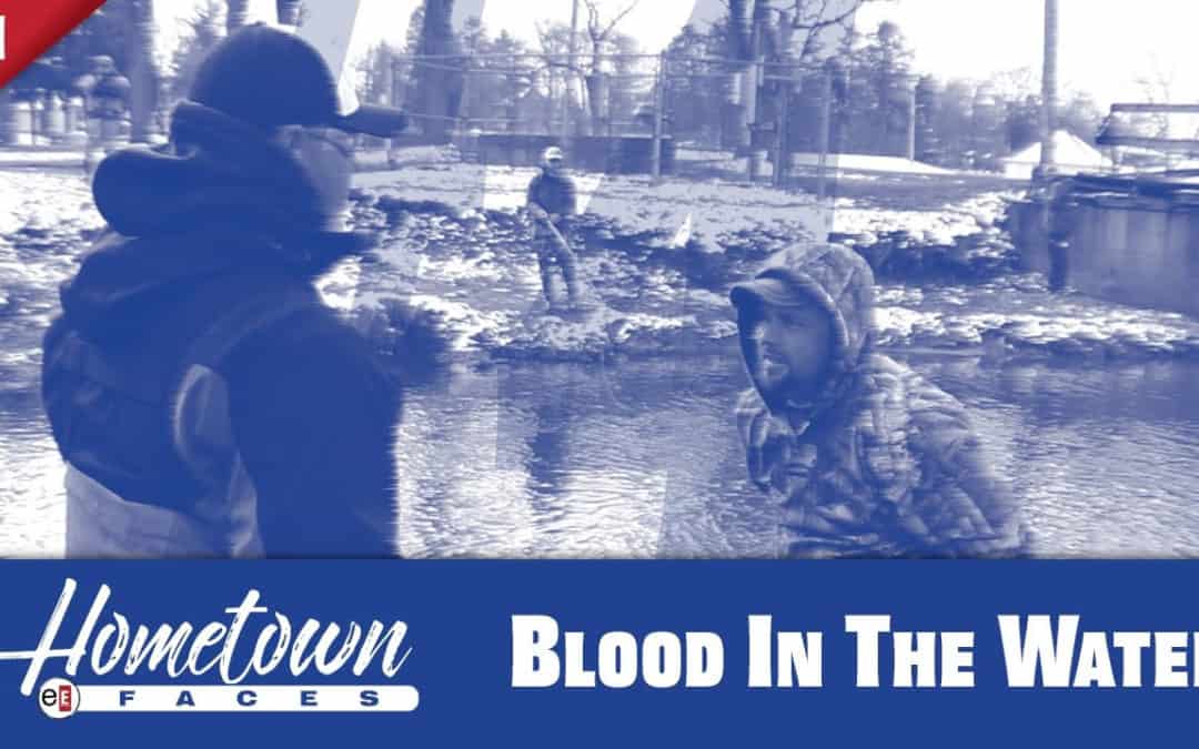 Blood in the Water
