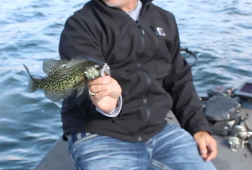 Crappie Challenge #12