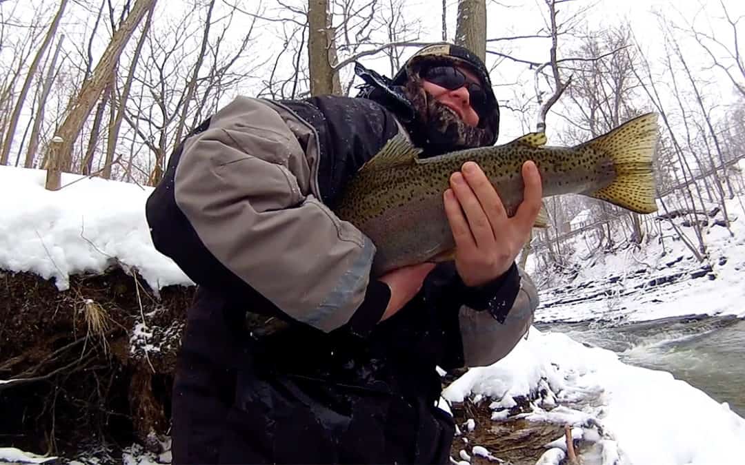Steelhead Challenge #1