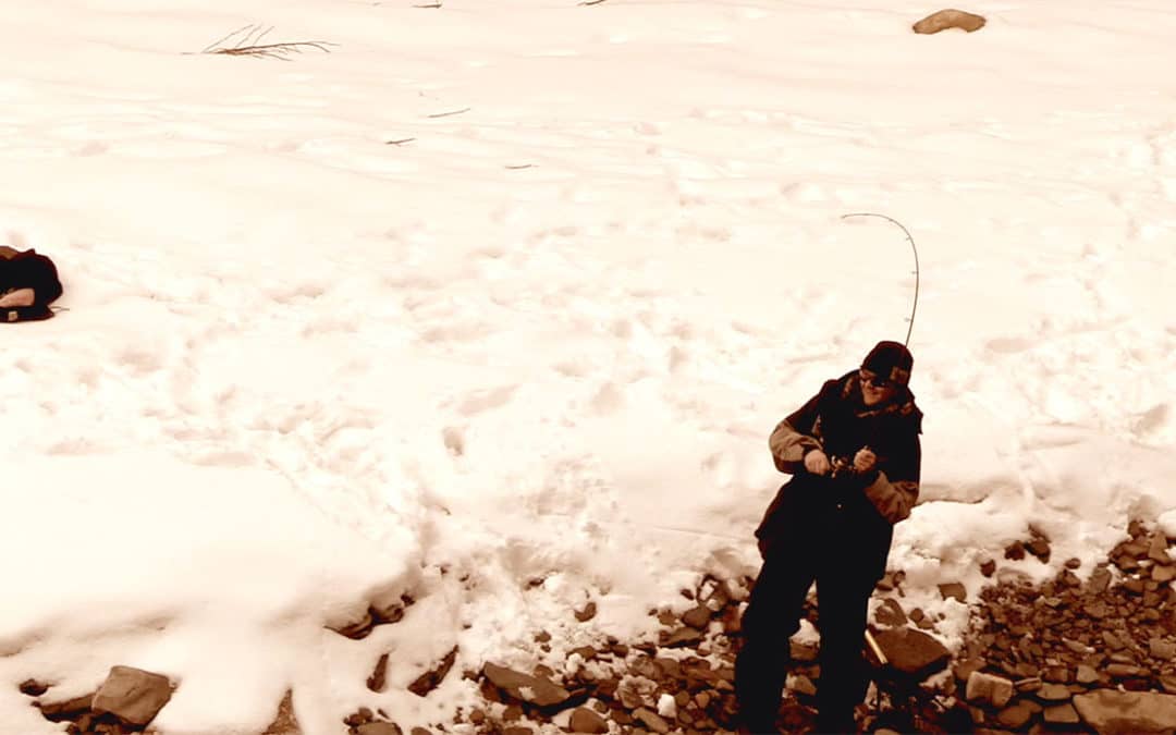 Steelhead Challenge #12