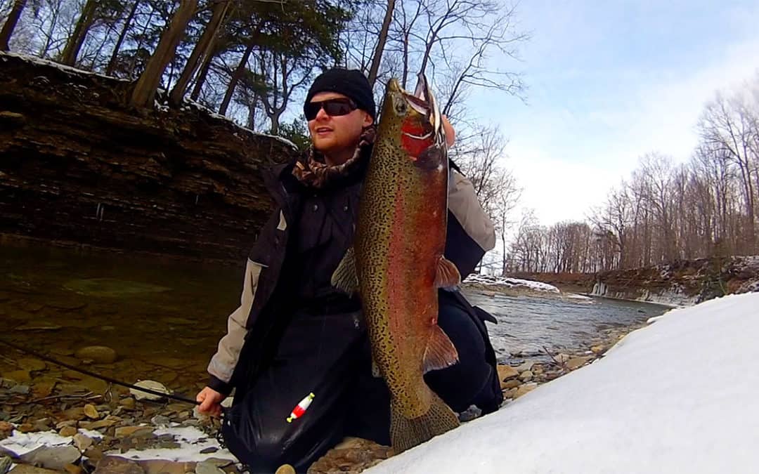 Steelhead Challenge #14