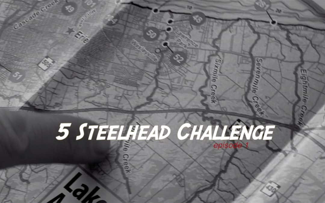 Steelhead Challenge #19