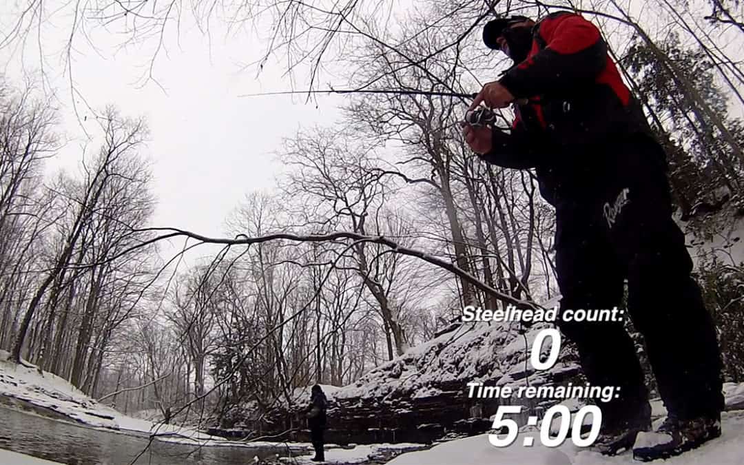 Steelhead Challenge #5