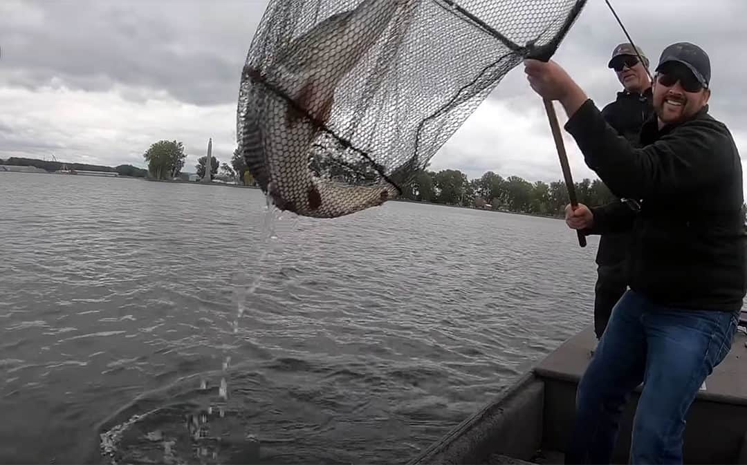 Trophy Pike Palooza #14