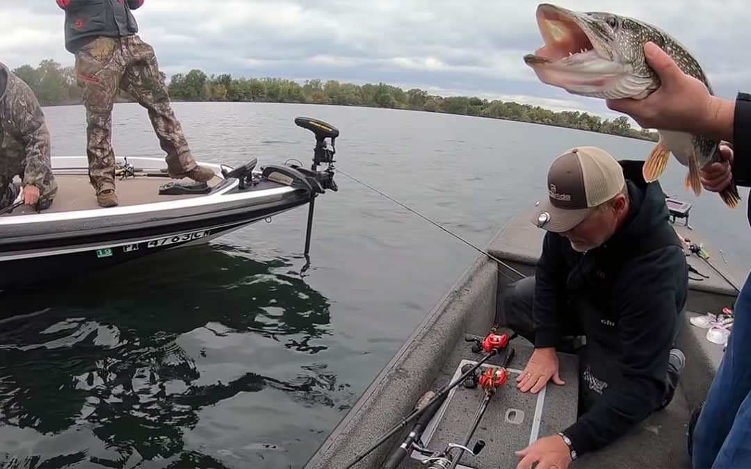 Trophy Pike Palooza #4