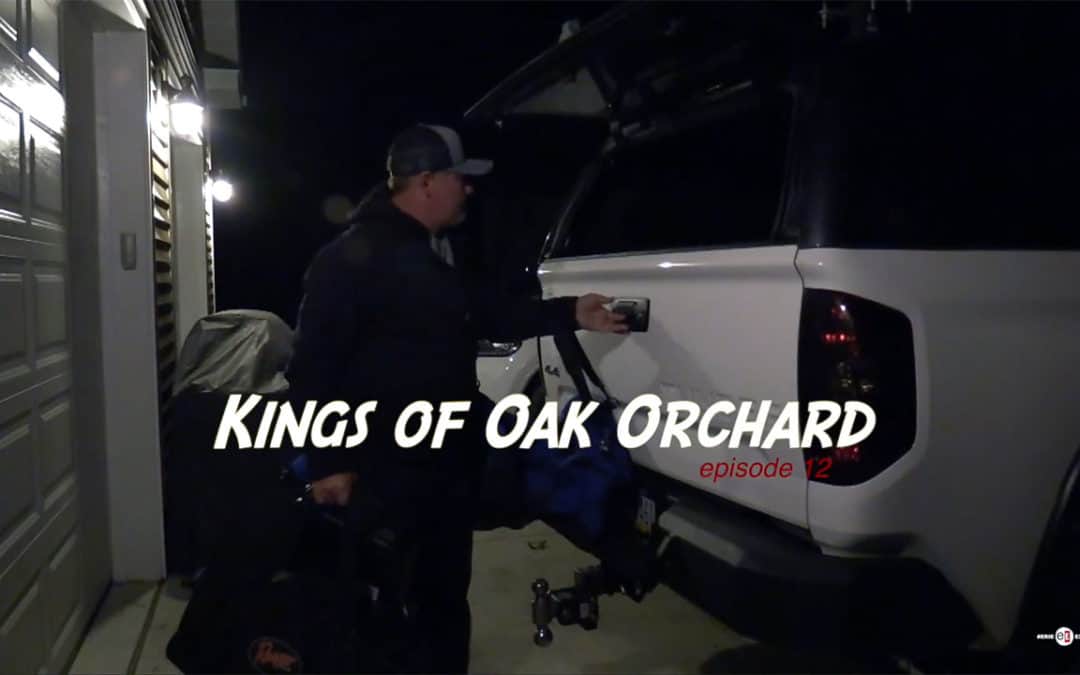 Kings of Oak Orchard #1