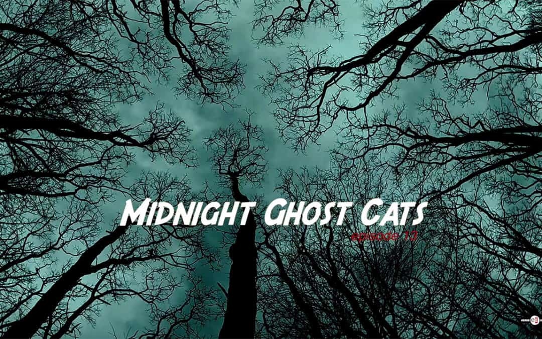 Midnight Ghost Cats #1
