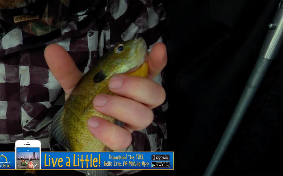 Misery Loves Crappies #18