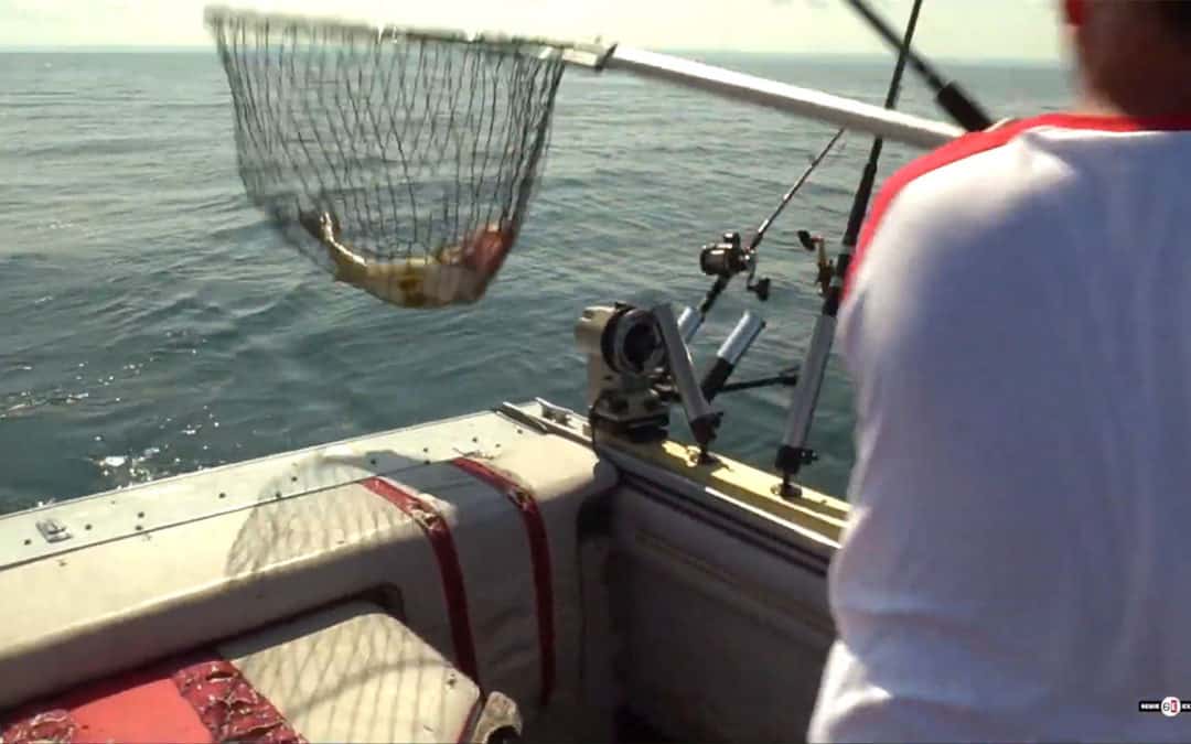 100 Foot Plunge #23