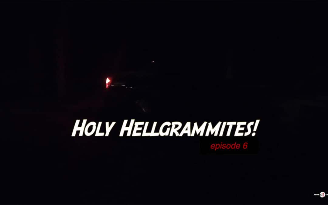 Holy Hellgrammites #2