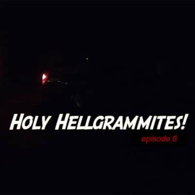 Holy Hellgrammites #2