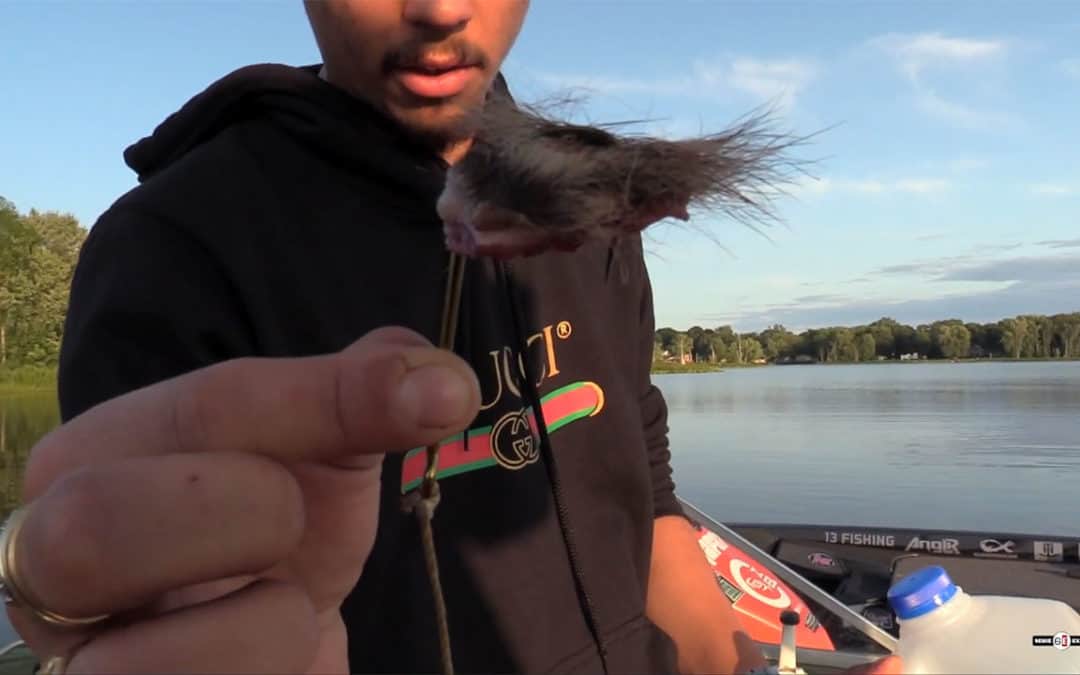 Turtle Soup Challenge #12