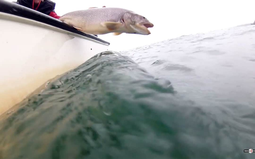 Great Laker Challenge #18