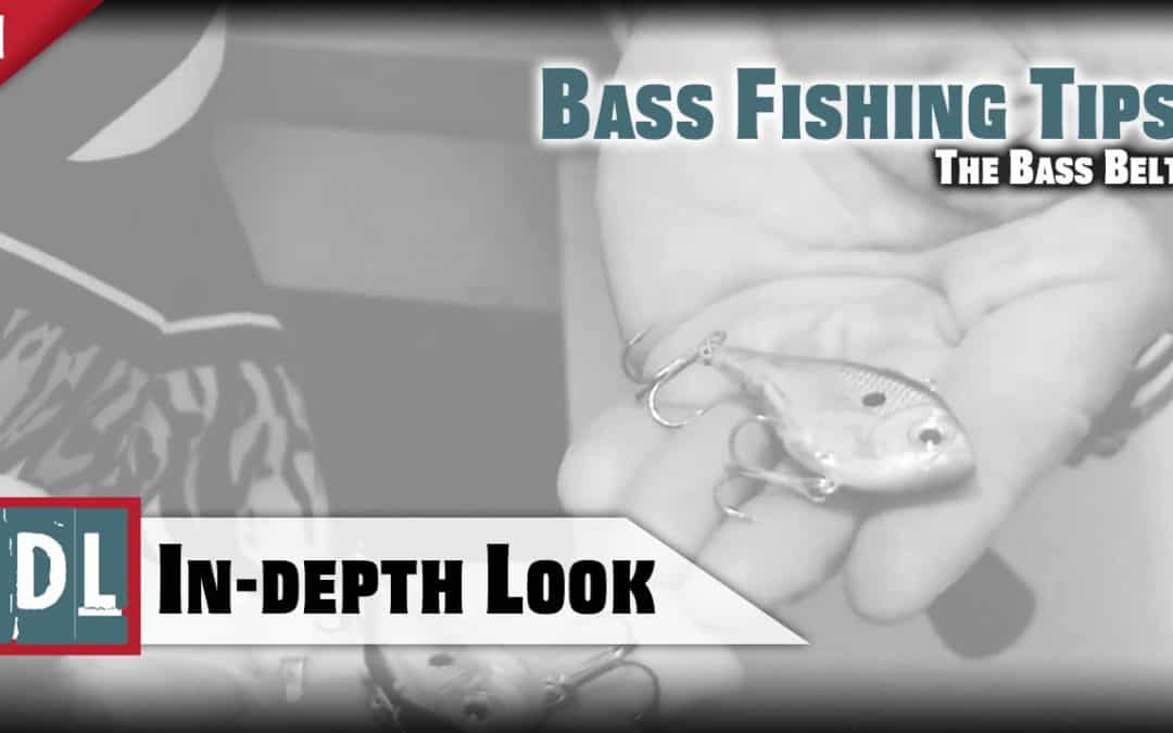 In-Depth Look | The Bass Belt