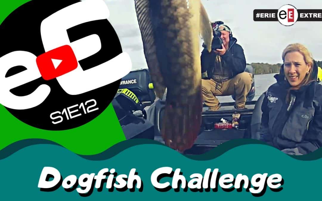 Episode 12 | Dogfish Challenge