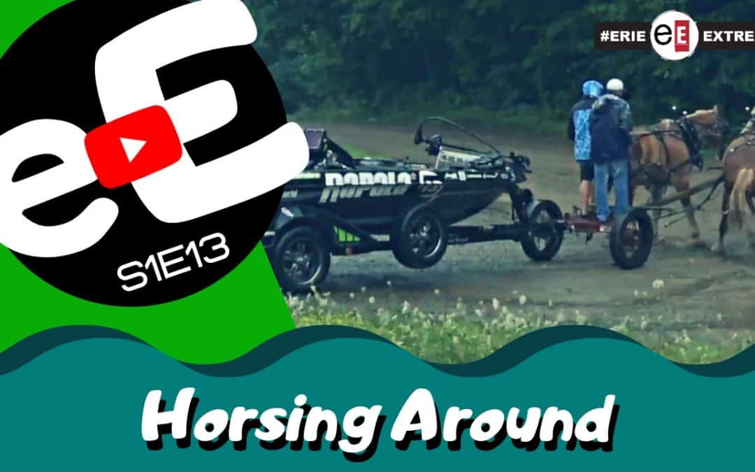 Episode 13 | Horsing Around