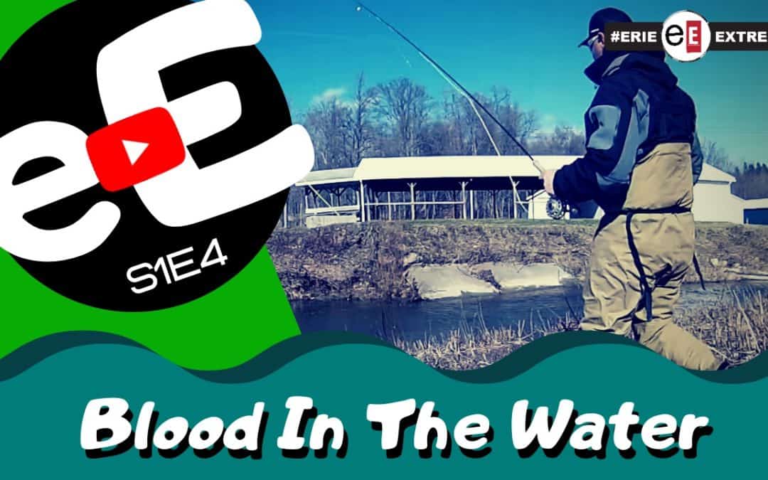 Episode 4 | Blood in the Water