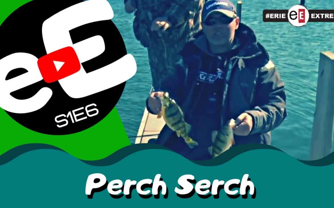 Episode 6 | Perch Serch