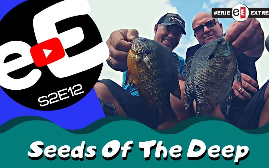 Episode 12 | Seeds of the Deep