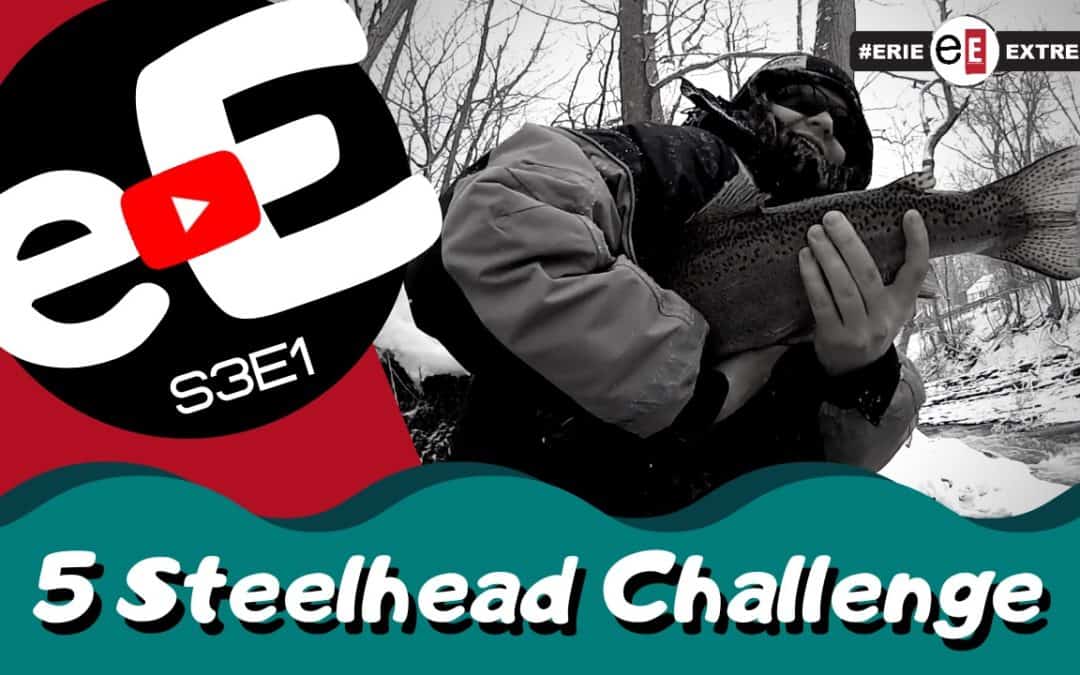 Episode 1 | 5 Steelhead Challenge | weCreate Challenge