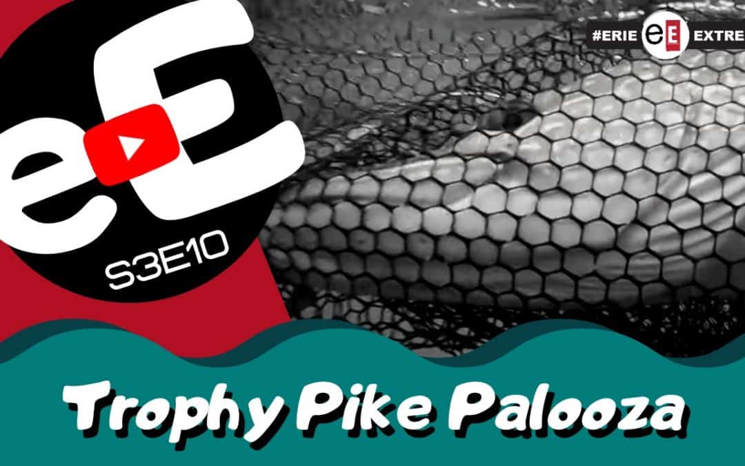 Episode 10 | Trophy Pike Palooza