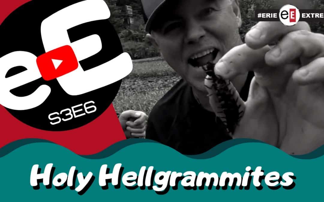 Episode 6 | Holy Hellgrammites