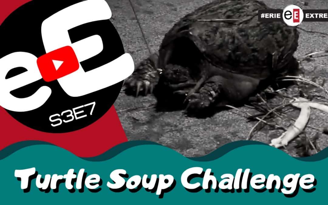 Episode 7 | Turtle Soup Challenge
