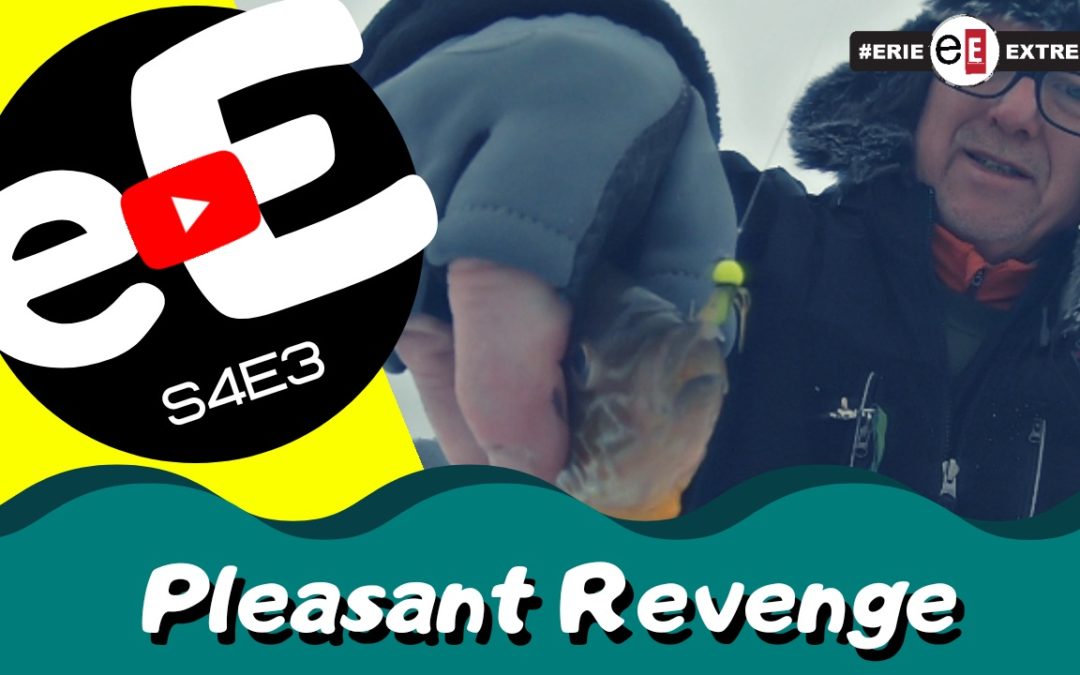 Episode 3 | Pleasant Revenge