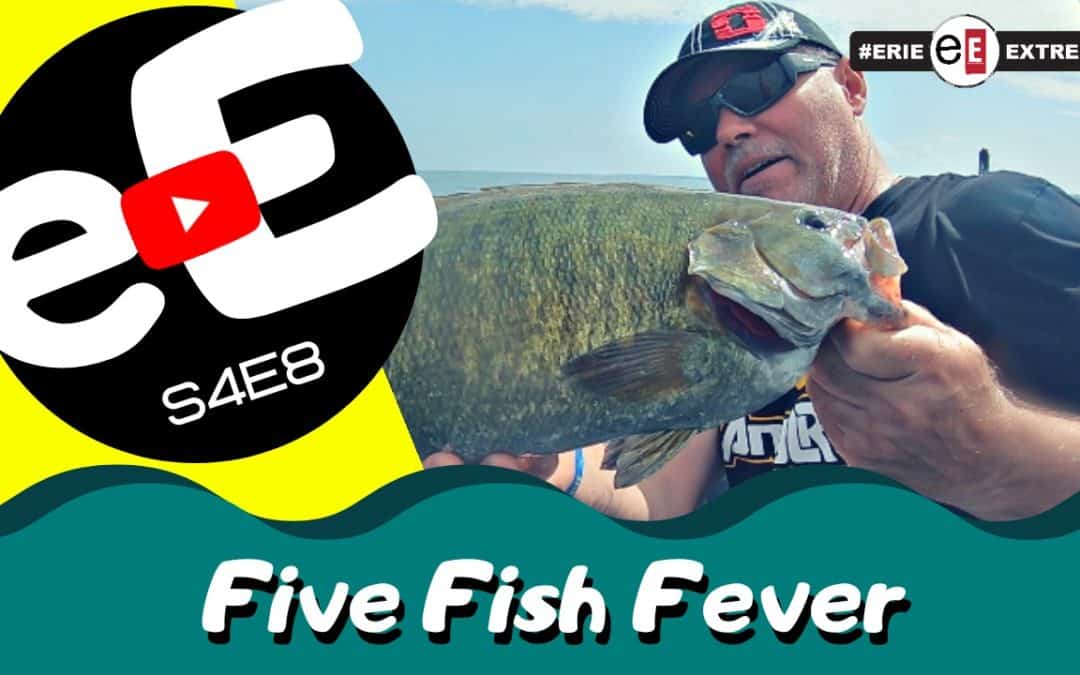 Episode 8 | Five Fish Fever