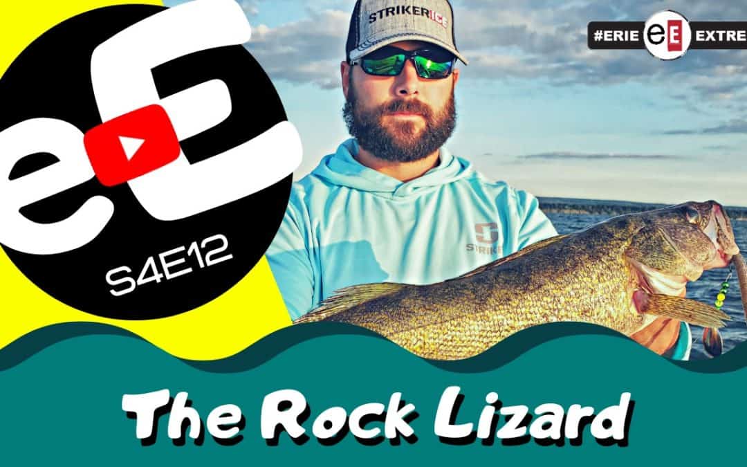 Episode 12 | The Rock Lizard